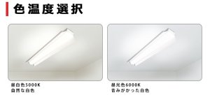 【3年保証】送料無料(一部地域を除く) LEDベースライト LED蛍光灯